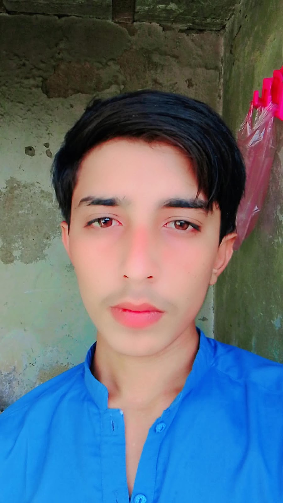 El Paso Pooper Scooper - Photo 4