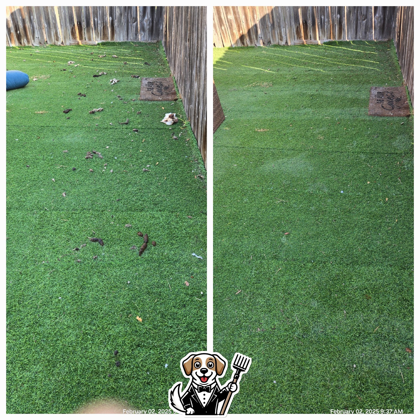 Our Pet Valet - Photo 4