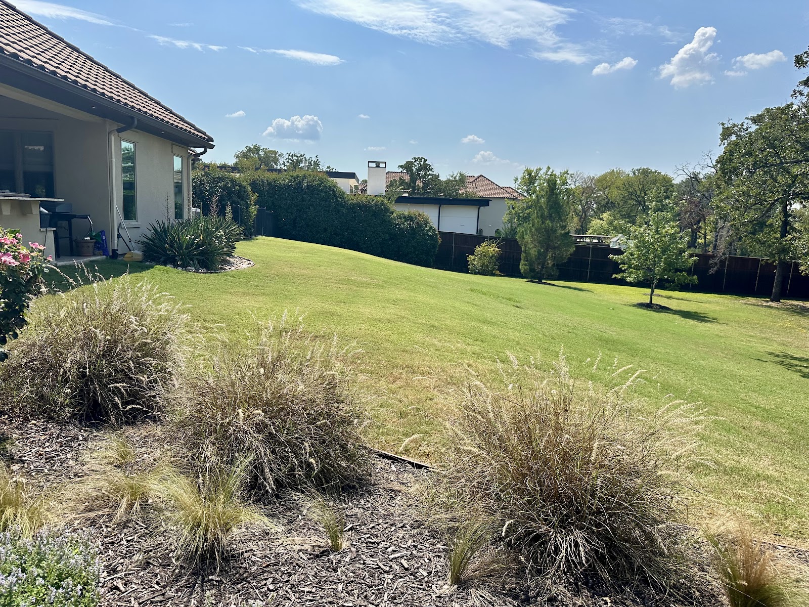 Rhino Scoop - Photo 4