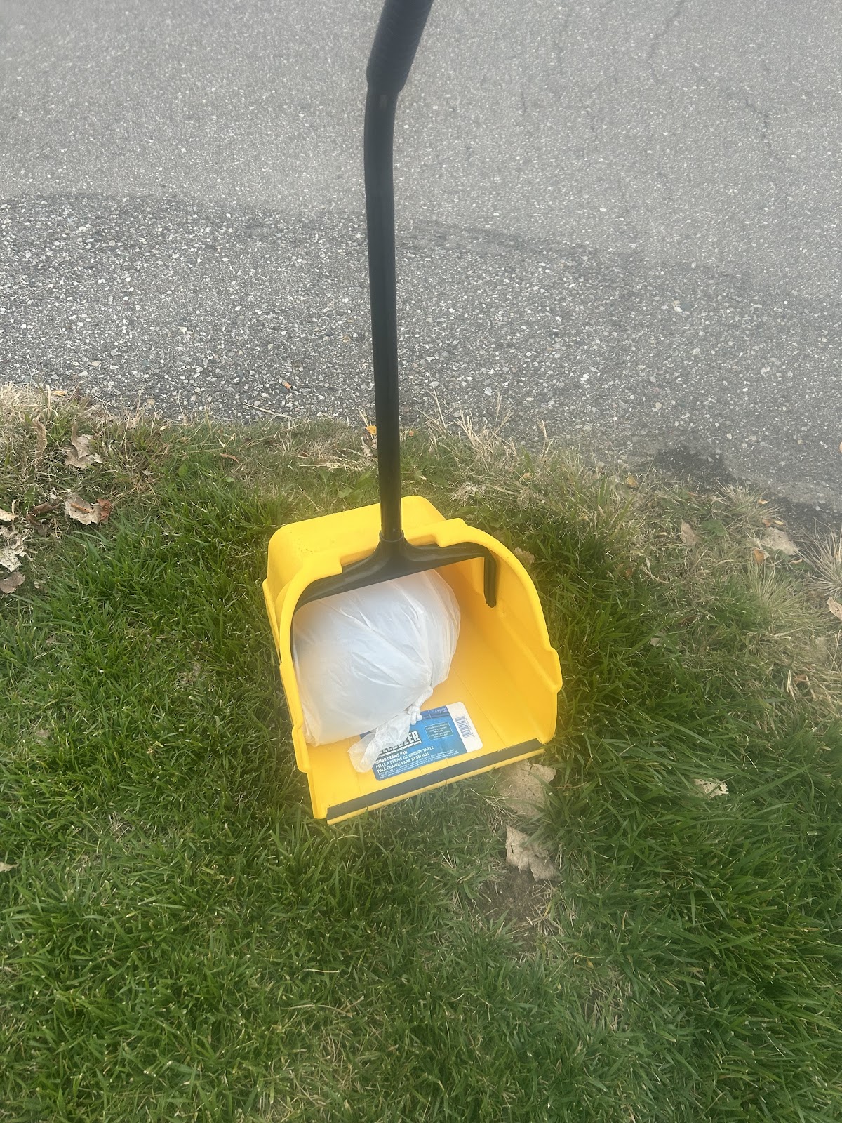 Hoover Scooper - Photo 4