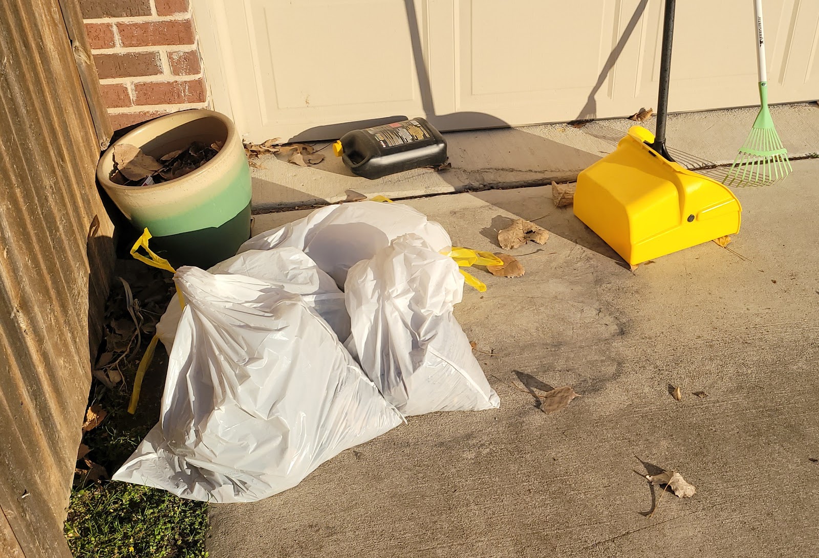 Bye-Bye Poo! (Dog Poop Pickup + Grooming)