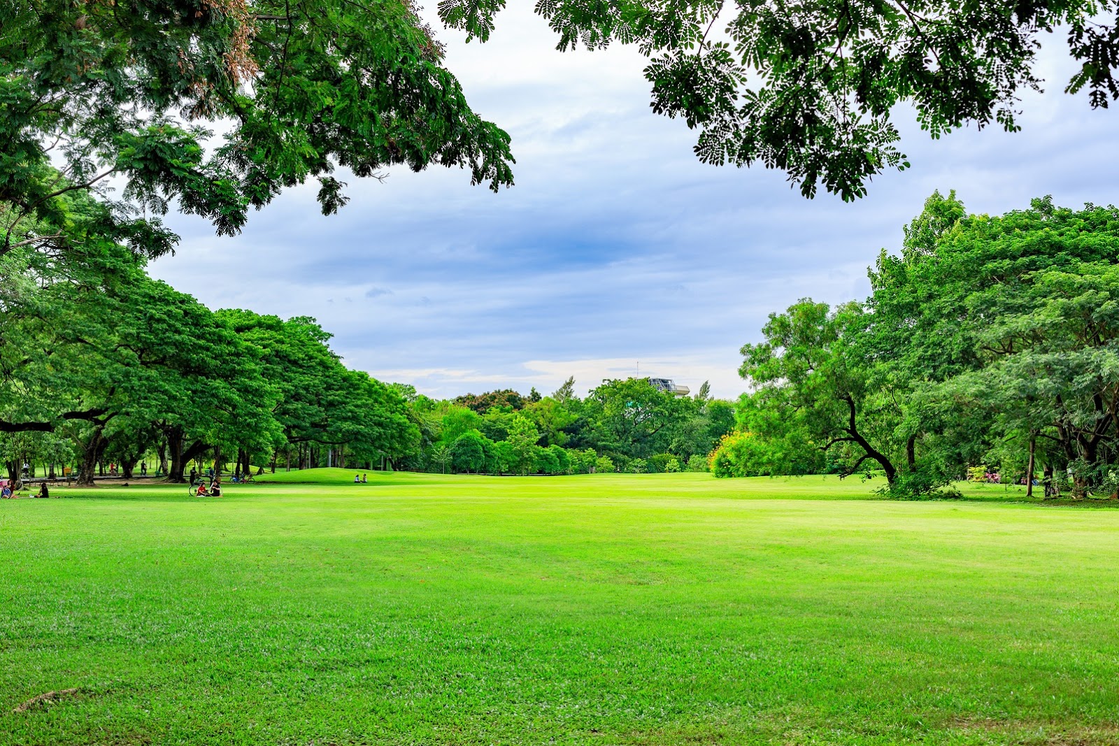 Doggy Dodoo Pickup - Photo 2