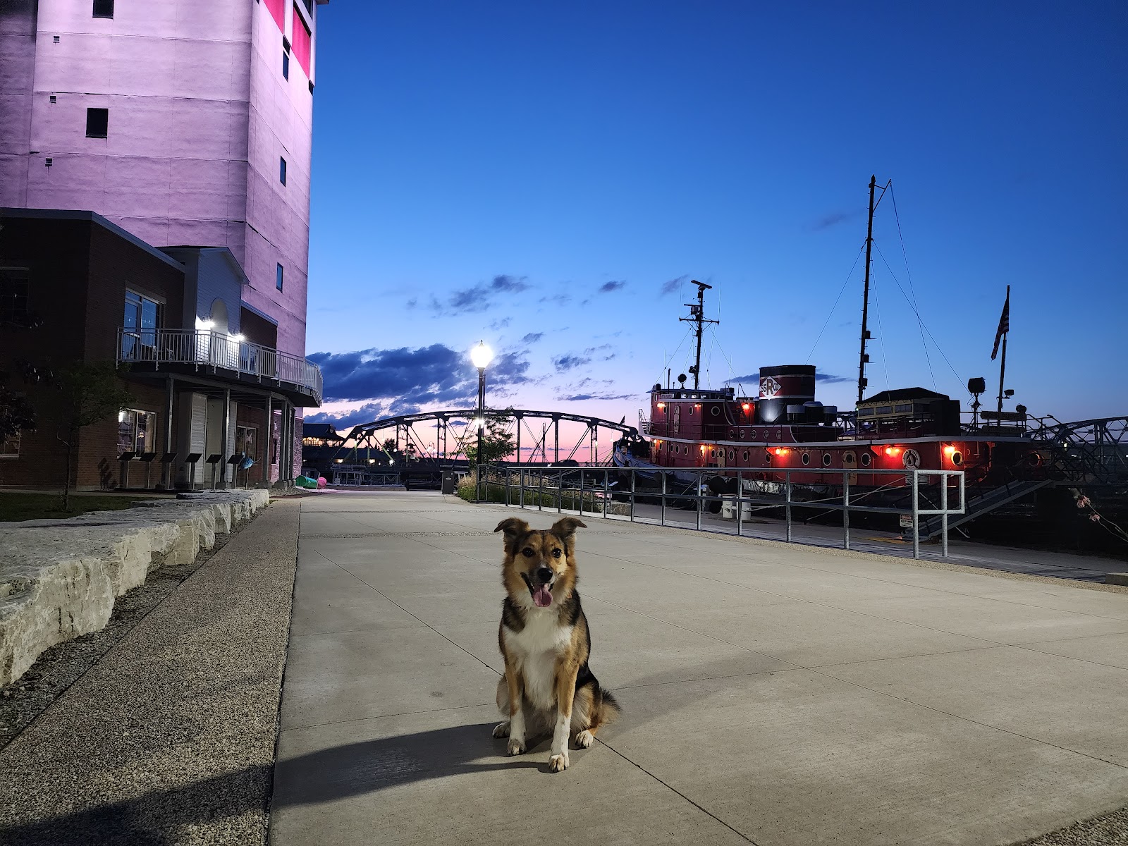 Peninsula Pet Waste Removal - Photo 3