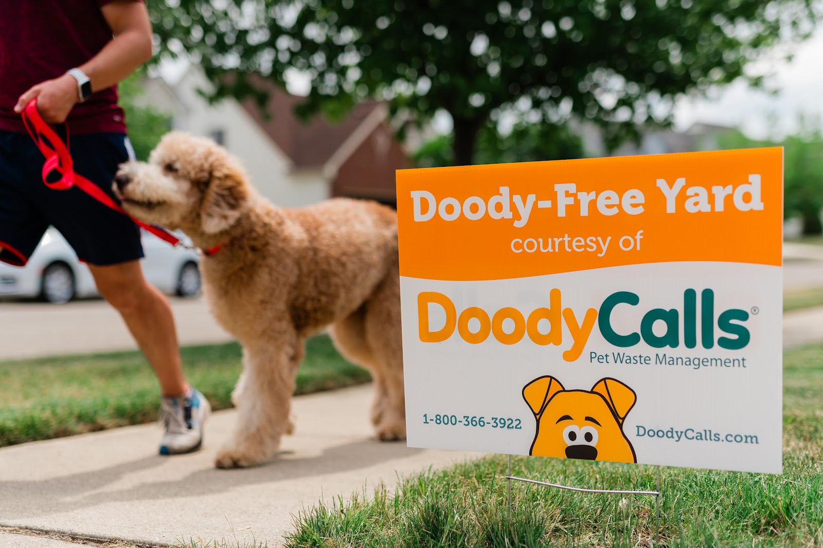 DoodyCalls® of South Charlotte - Photo 4