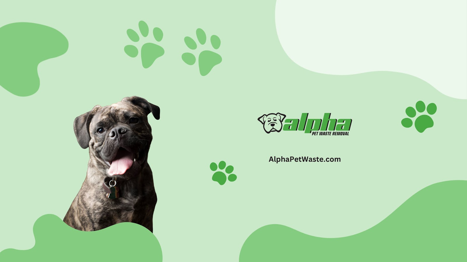 Alpha Pet Waste Removal