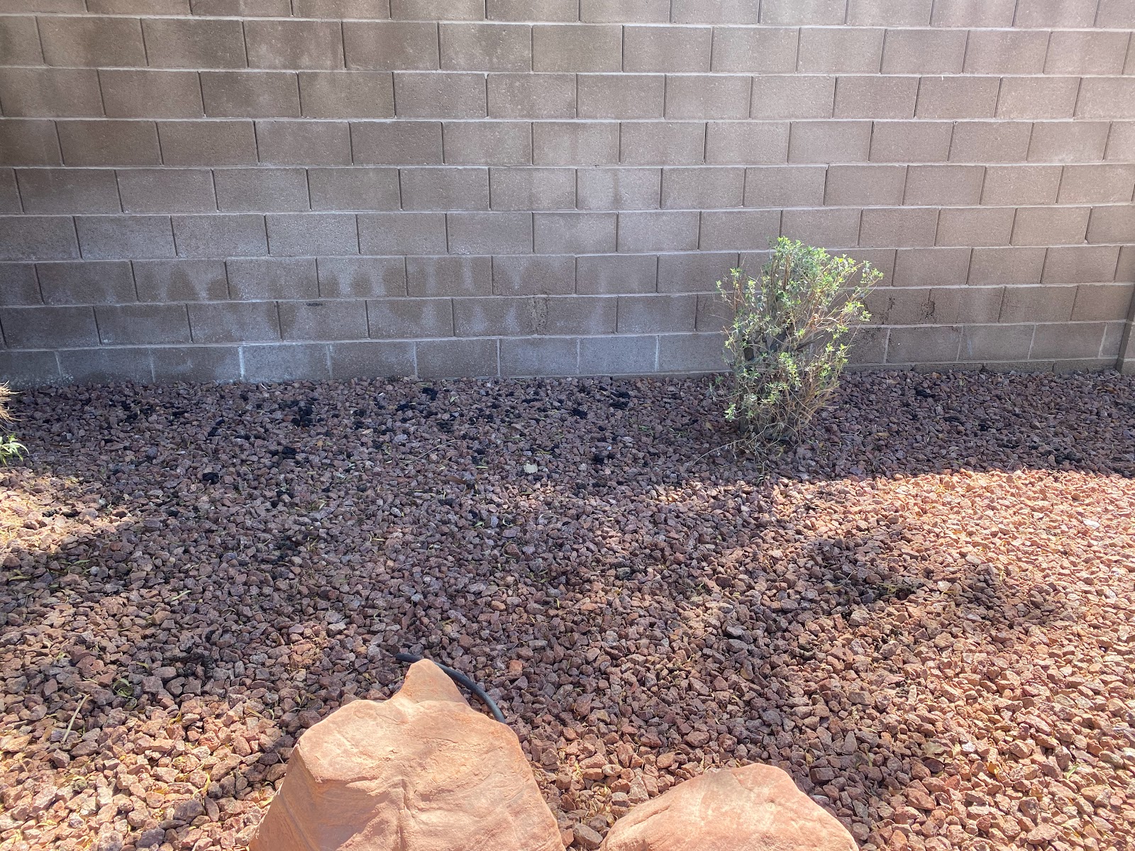 poopy scoopy - Photo 2