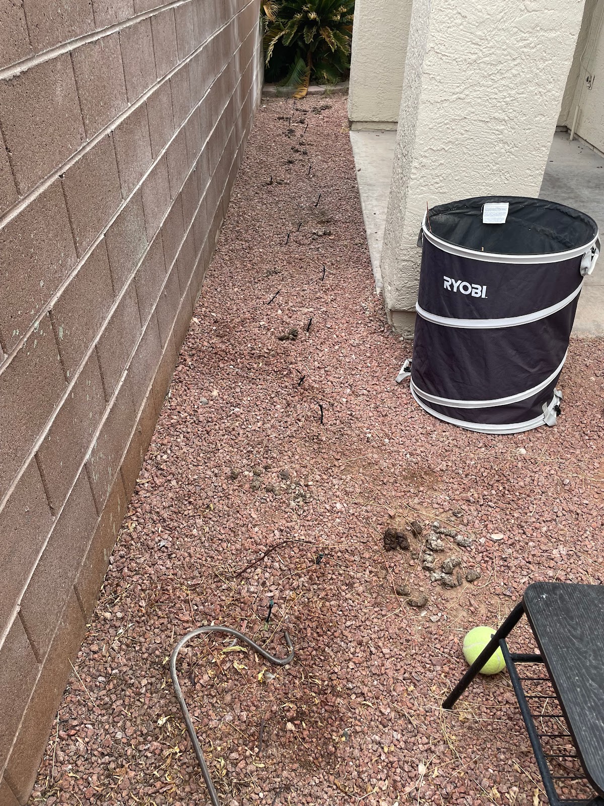 poopy scoopy - Photo 4