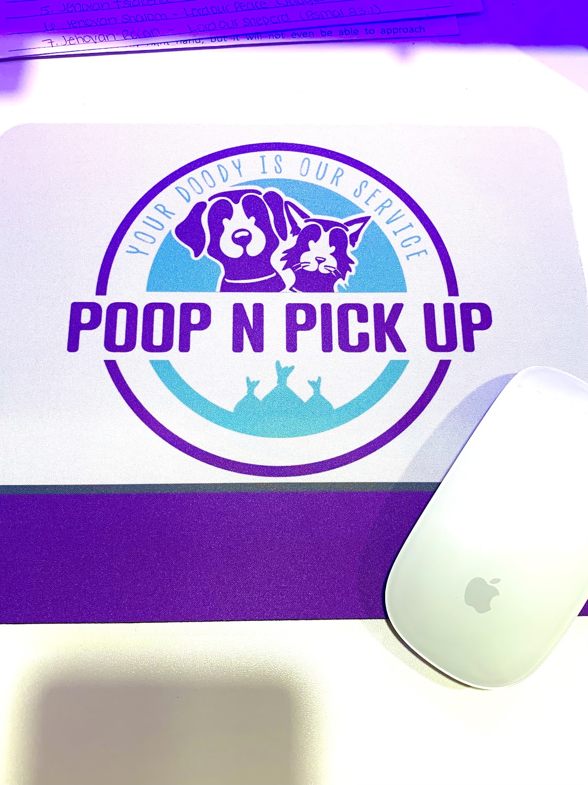Poop N Pick Up LLC