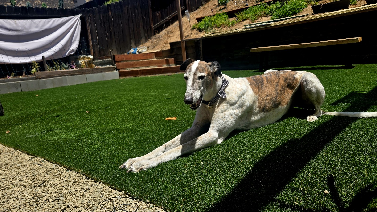 SoCal Poo Patrol - Photo 2