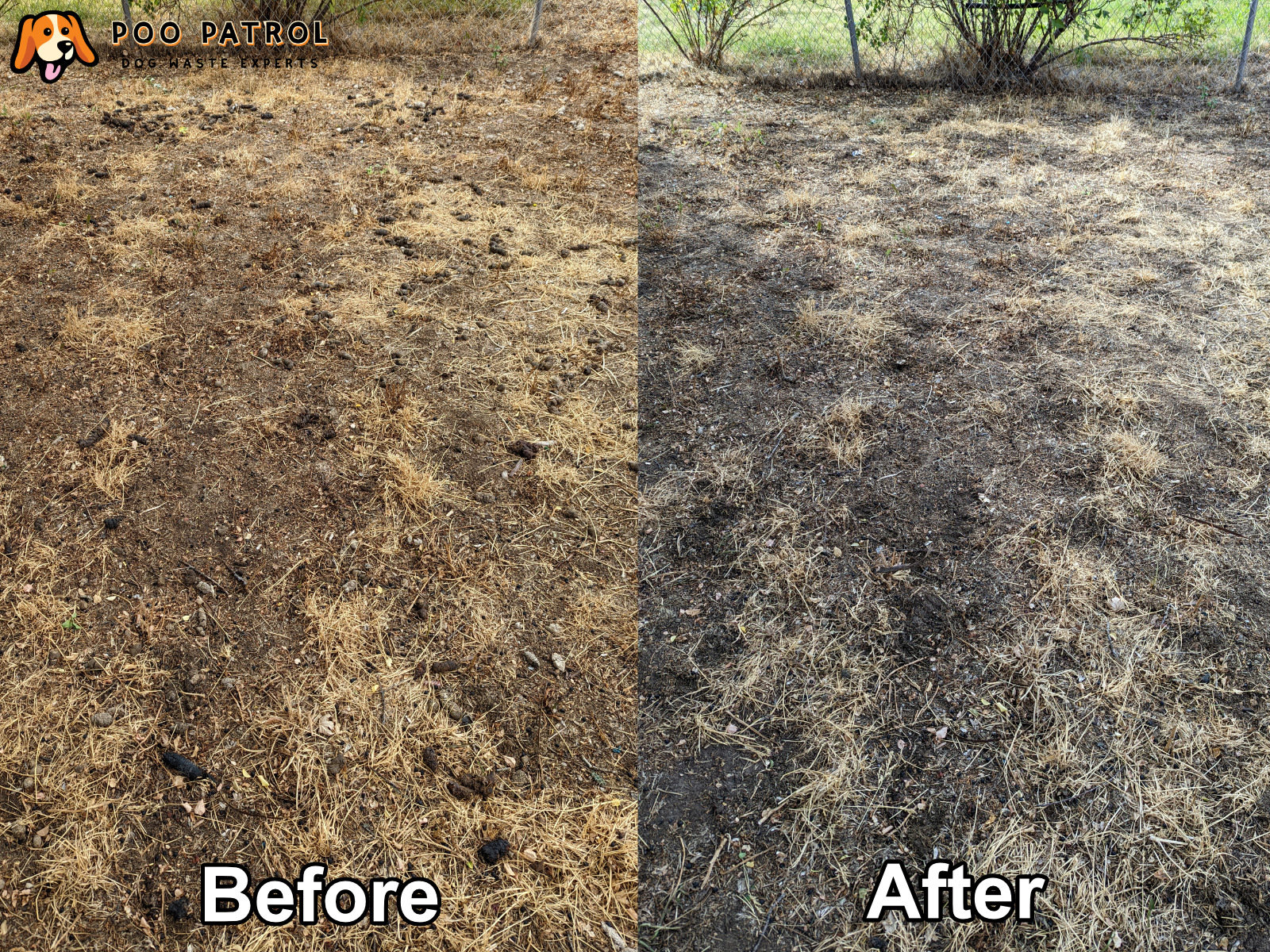 Poo Patrol - Pooper Scooper Service - Photo 2