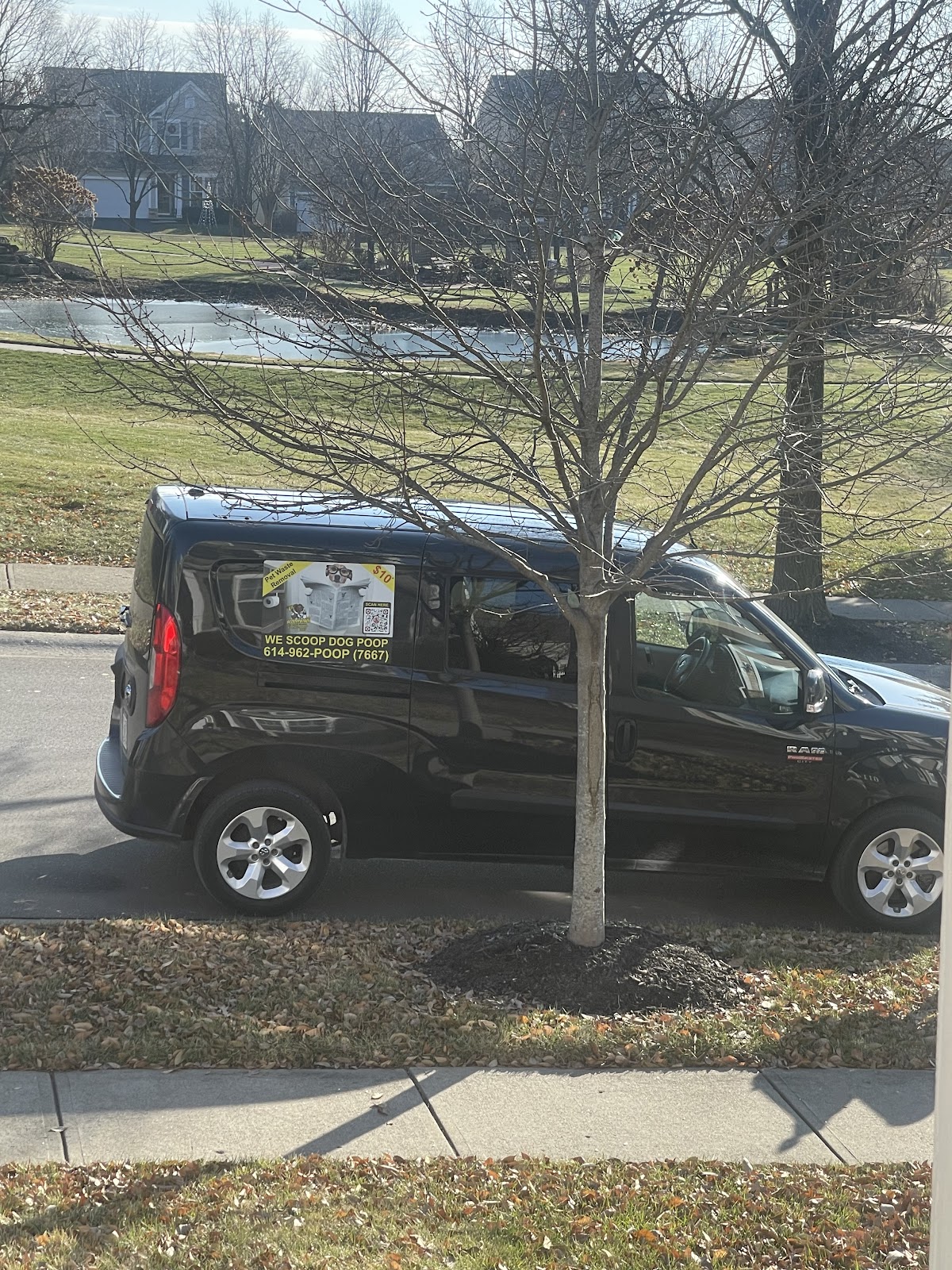 Scoop Patrol Pet Waste Removal - Photo 4