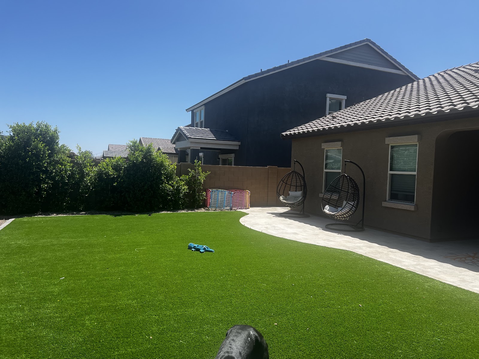 Crappy Cleanup Dog Poop Removal - Photo 4