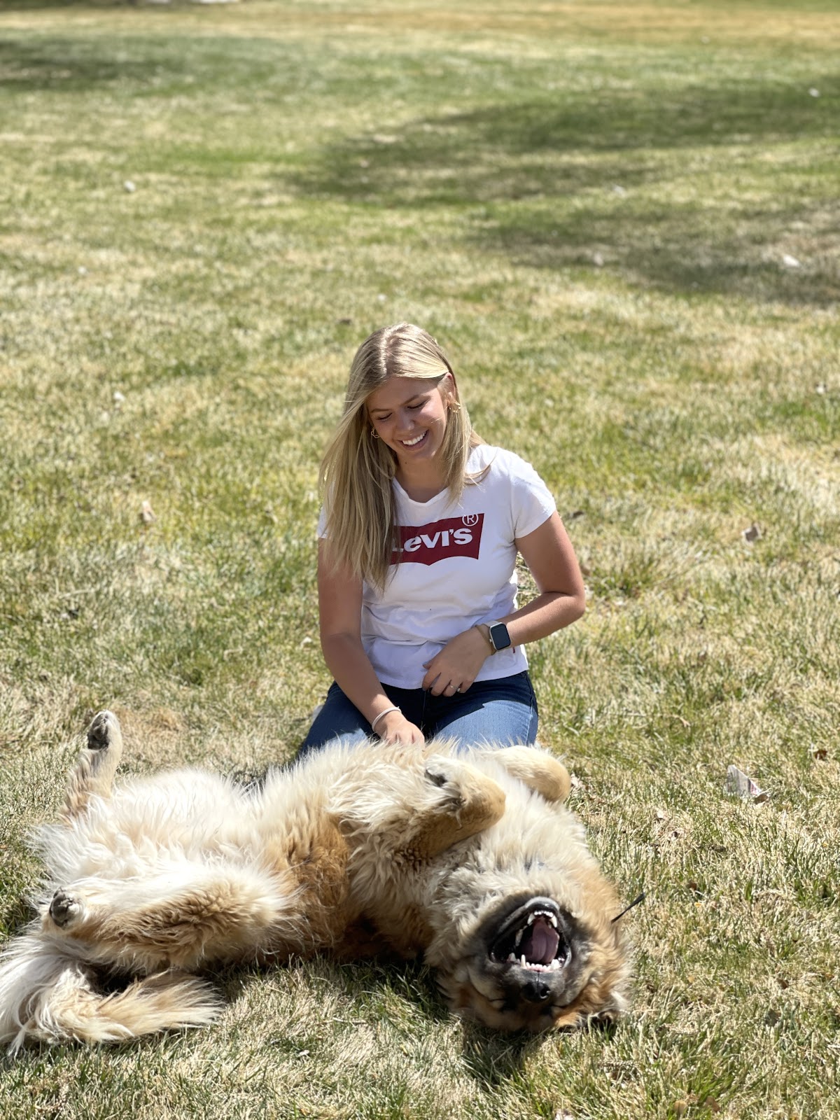 DOOEZY (Dog Poop Scoop and Cleaning. Poop Removal Service) - Photo 2