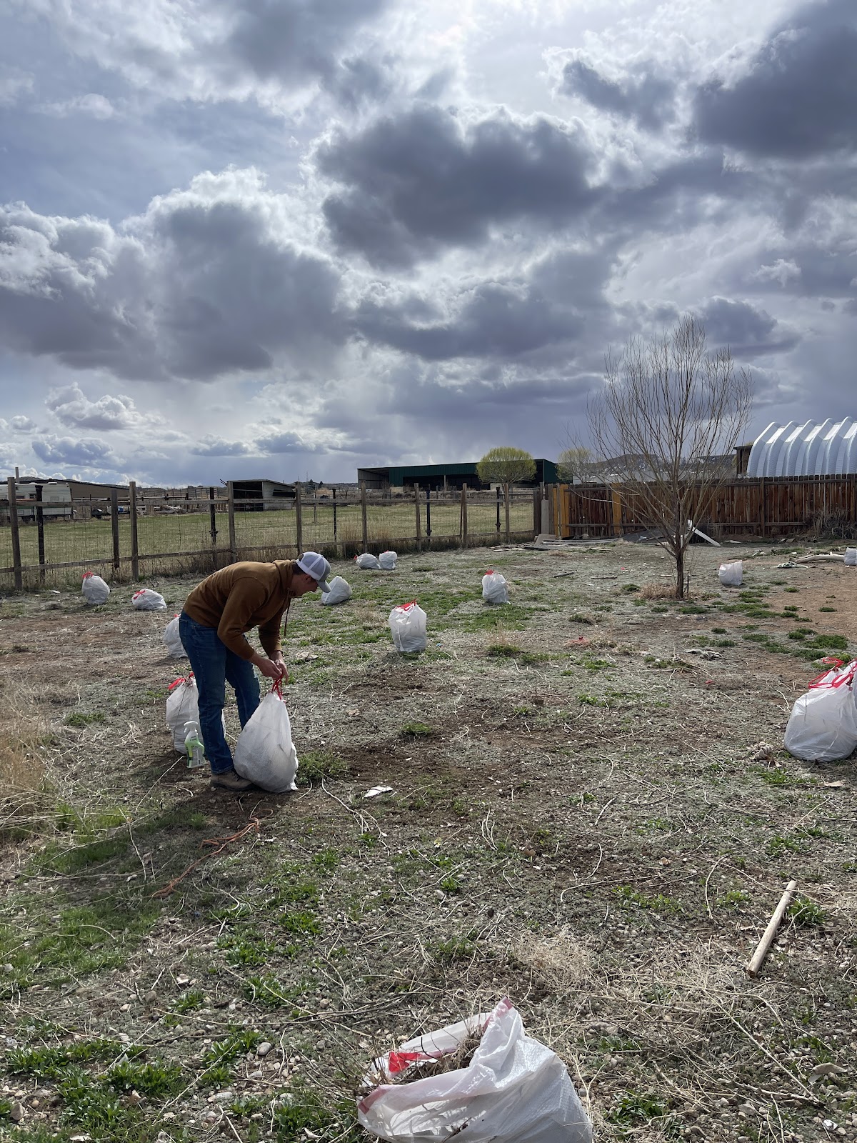 DOOEZY (Dog Poop Scoop and Cleaning. Poop Removal Service) - Photo 3