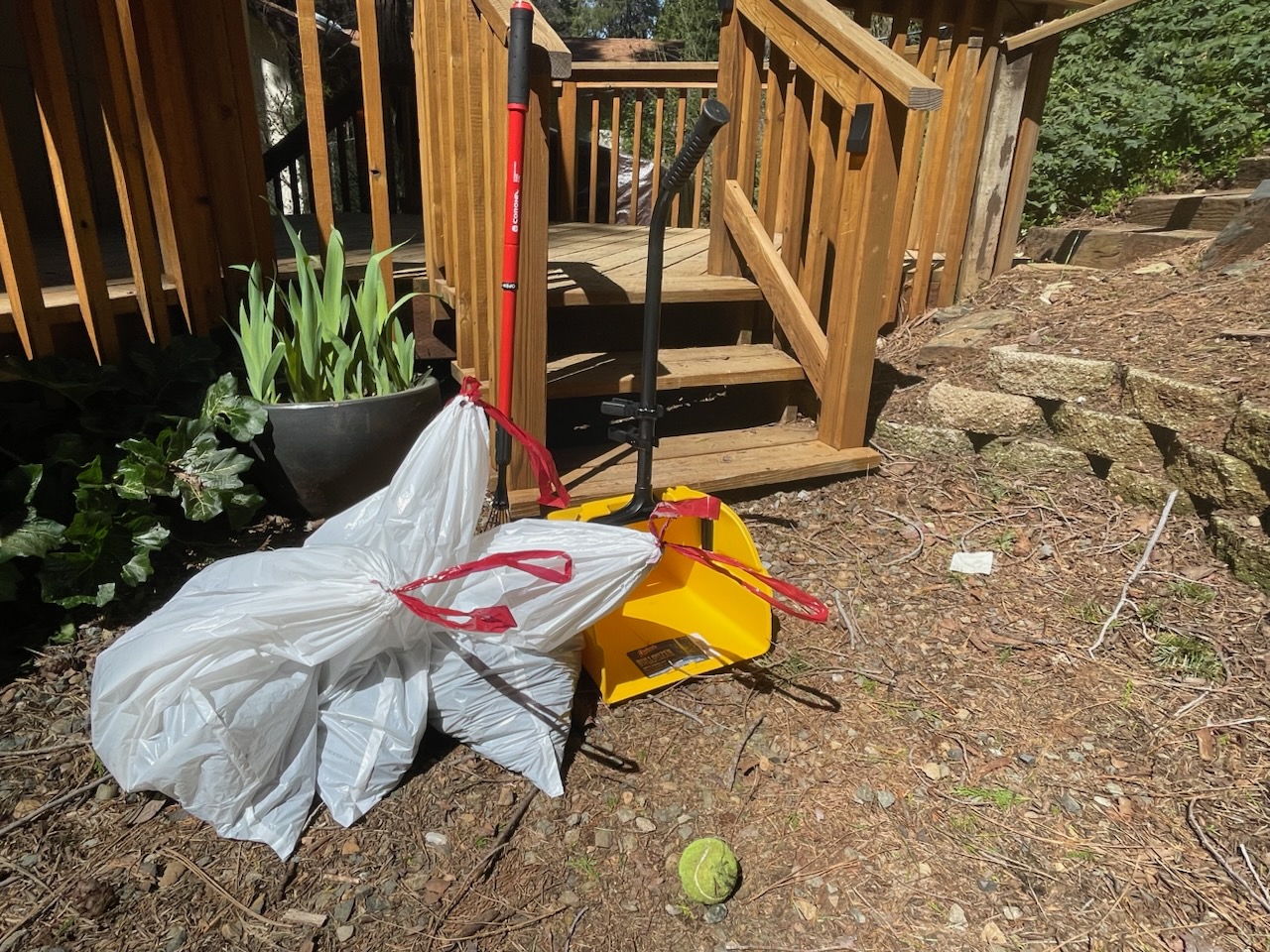 K-9 Waste Management Services - Dog Poop Pickup Service - Pooper Scooper - Pet Waste Removal - Photo 2