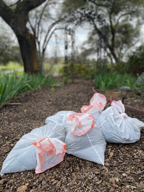 K-9 Waste Management Services - Dog Poop Pickup Service - Pooper Scooper - Pet Waste Removal - Photo 4