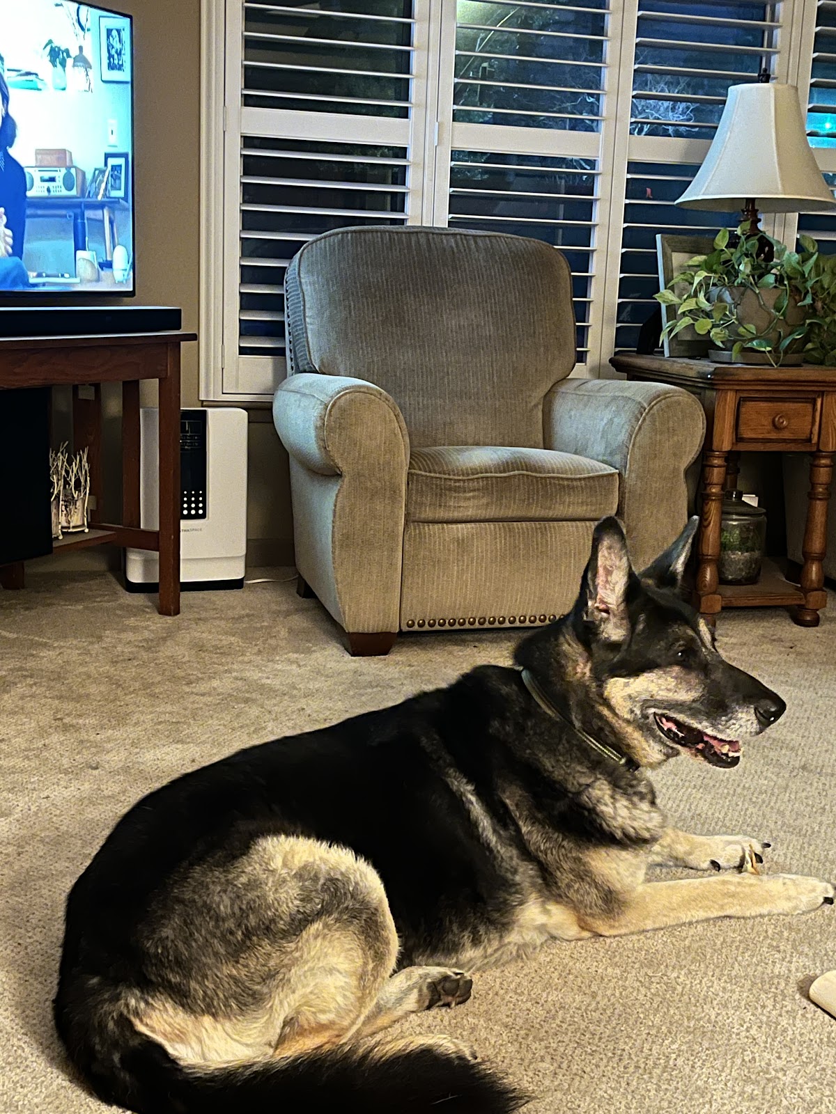 POOP 911 Sacramento - Photo 2