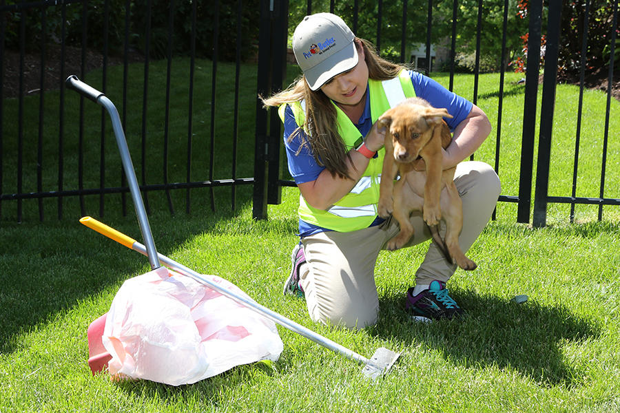 Pet Butler - Photo 2