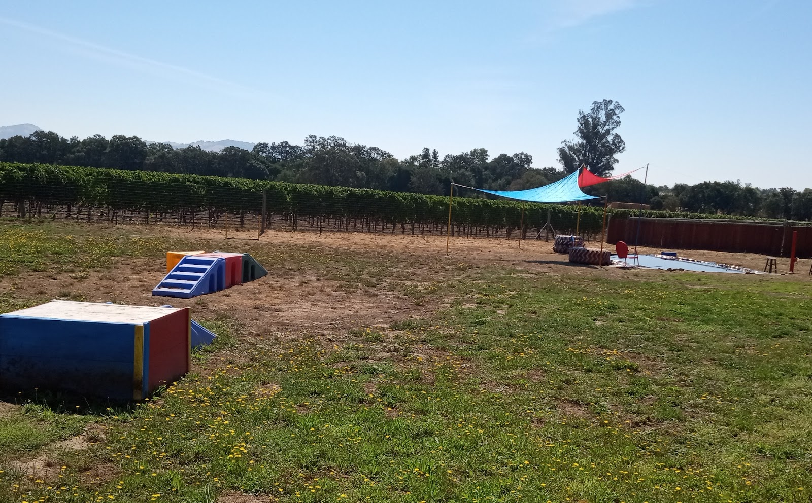 Sterile Scoop - Photo 2