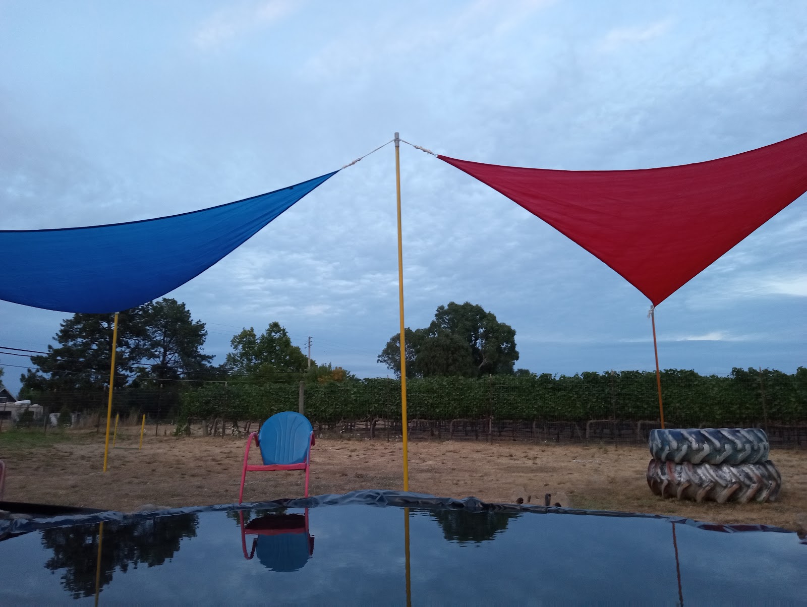 Sterile Scoop - Photo 3