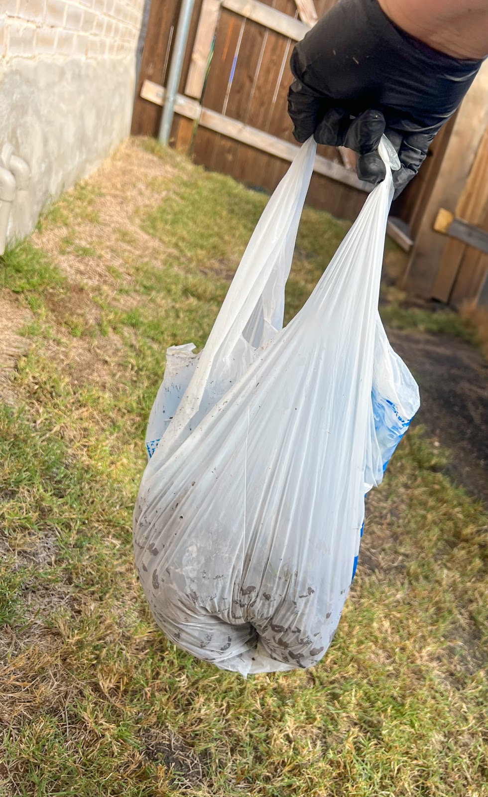 Scoopy Doo Scoopers - Photo 3