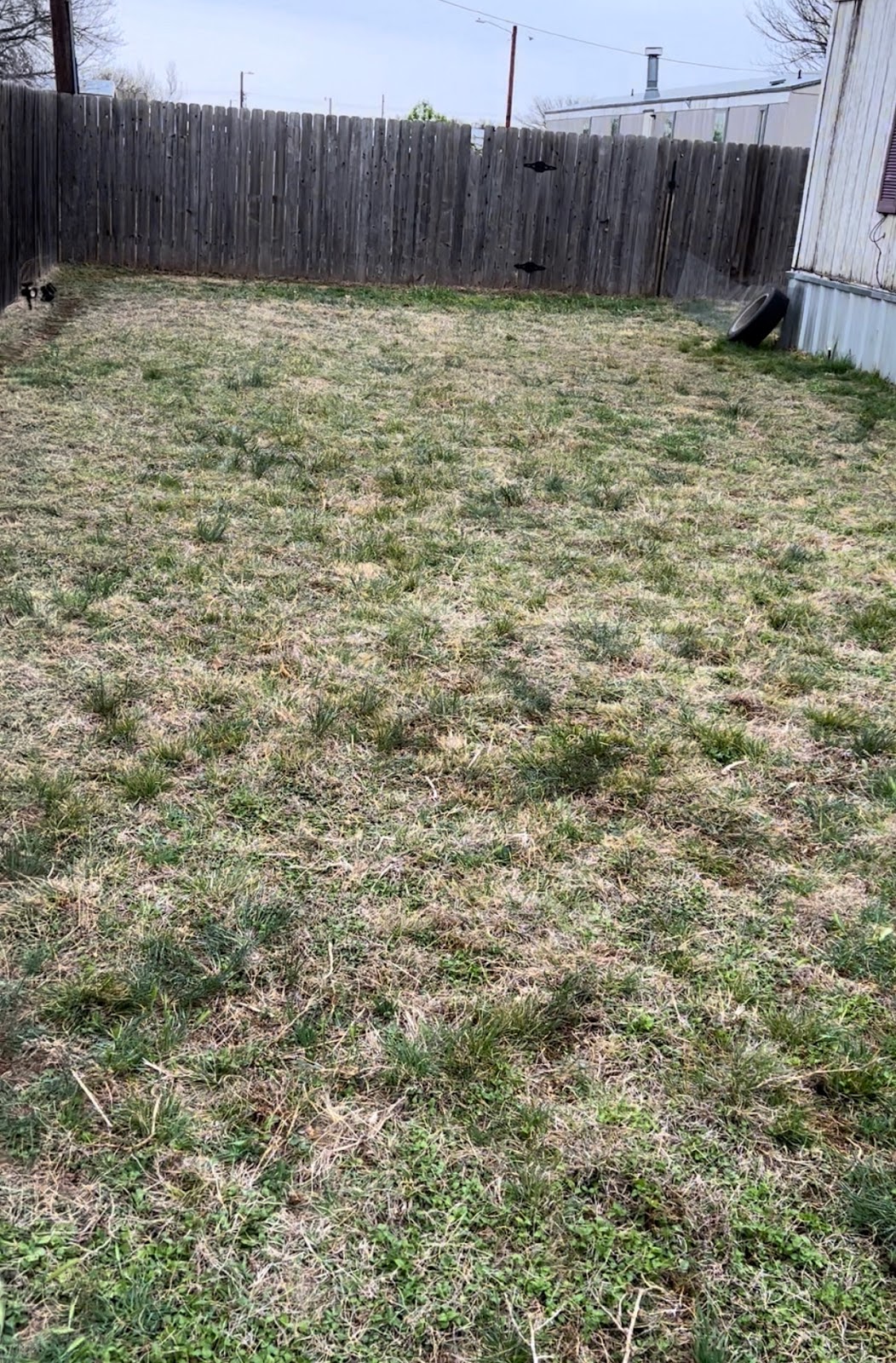 The Dookie Doodes LLC, Pet waste removal