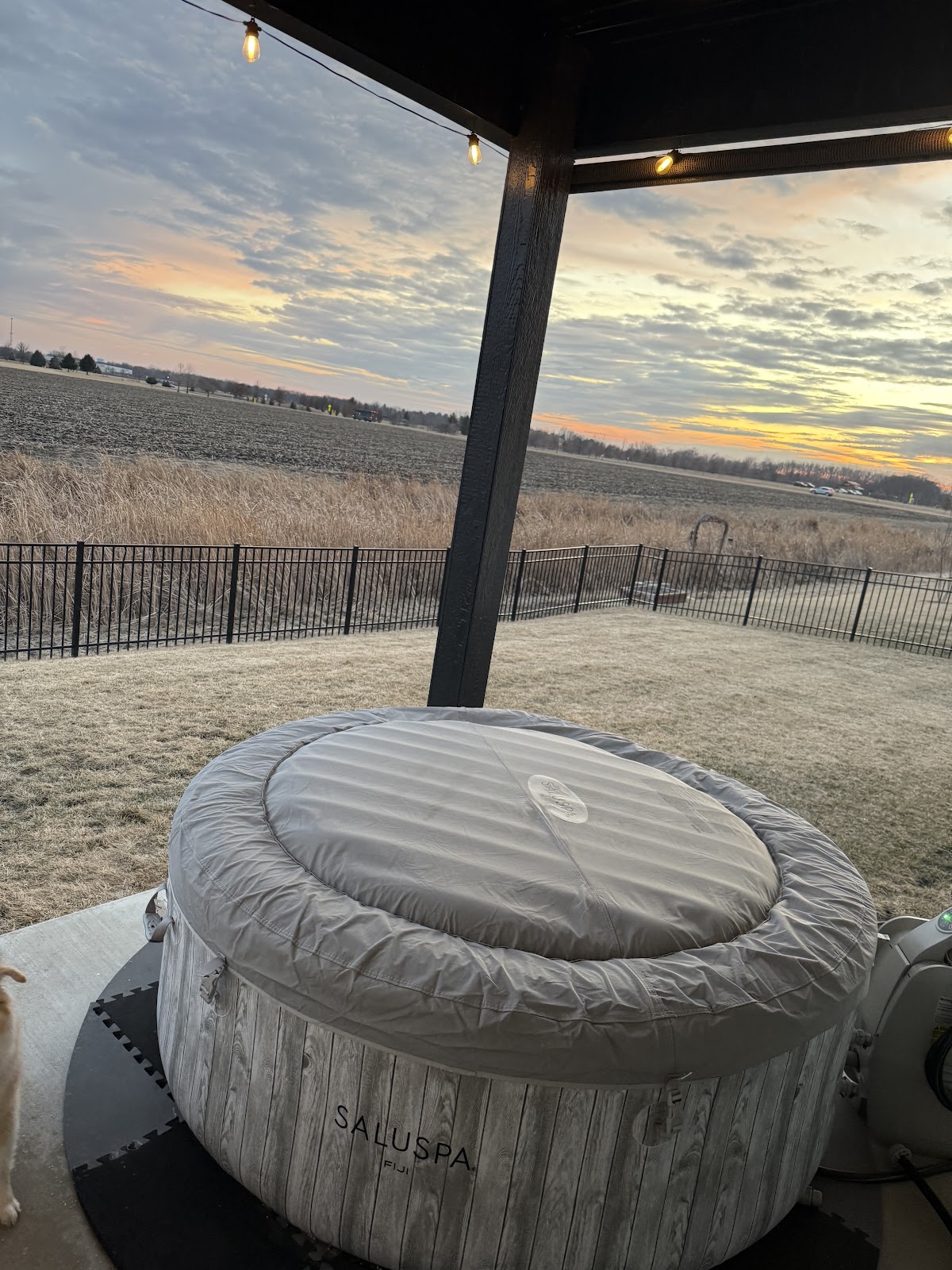 Pain in the Grass LLC - Pooper Scoopers - Photo 2