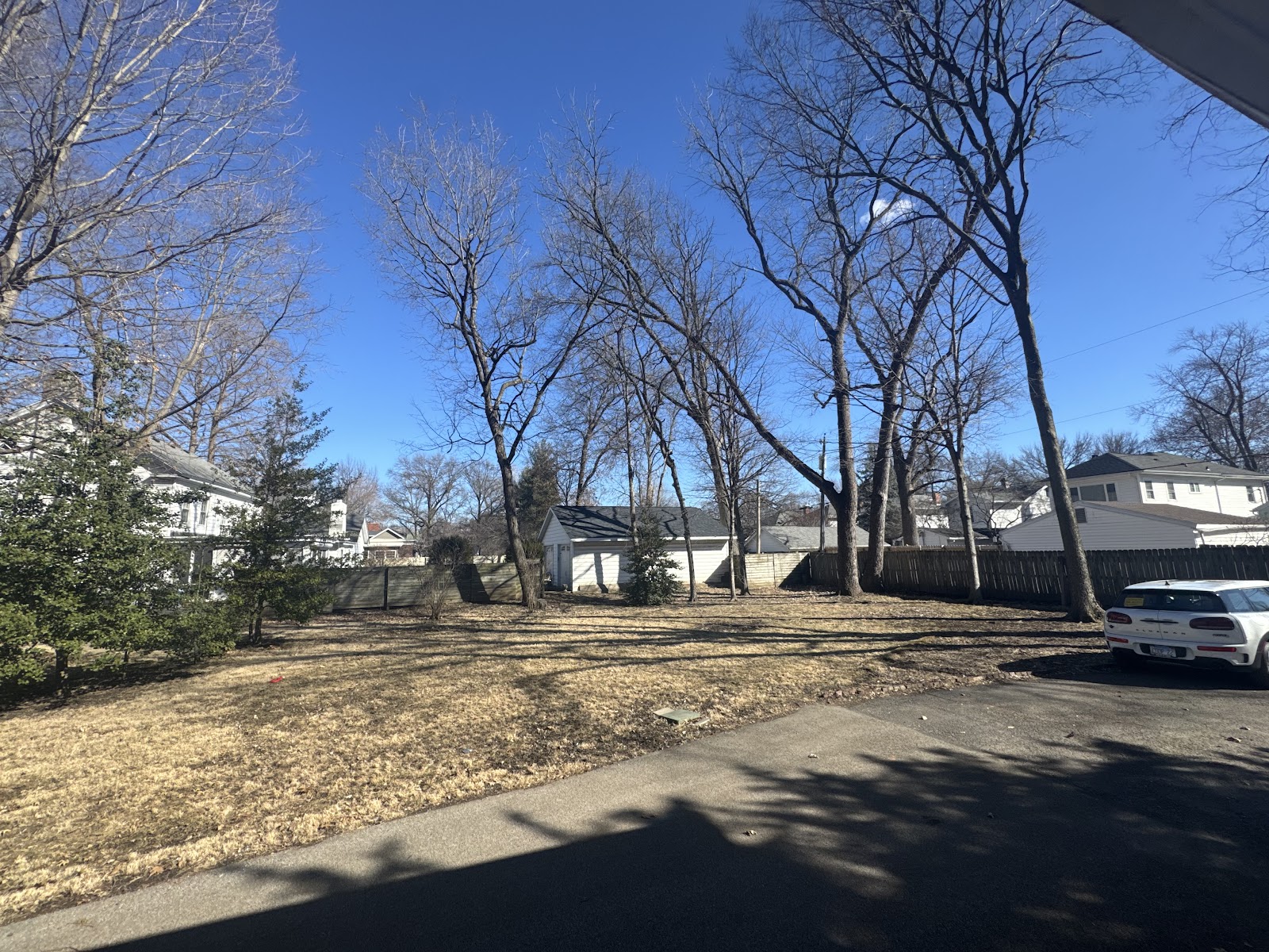 Pain in the Grass LLC - Pooper Scoopers - Photo 3