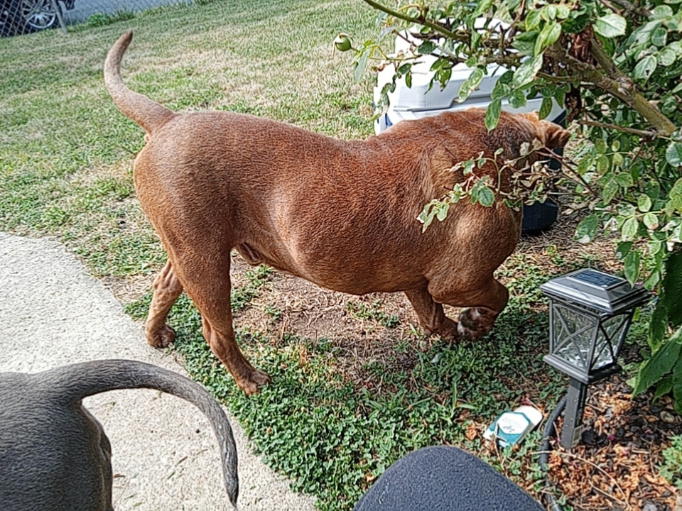 (Mergie Poop & Scoop) you got the poop . I got the scoop