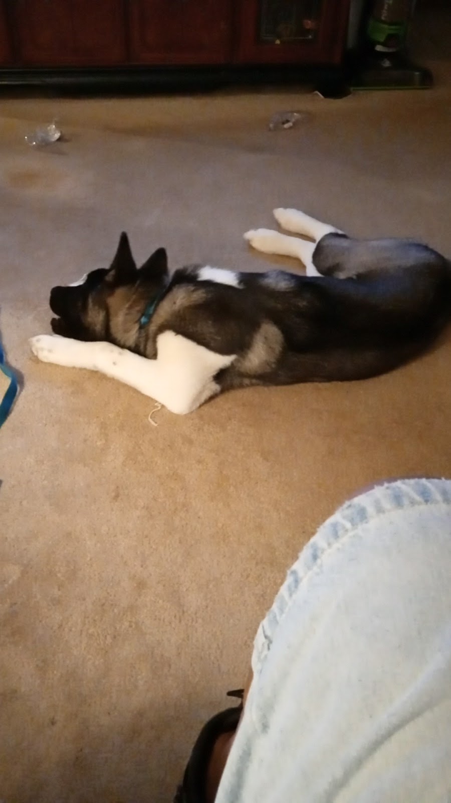 (Mergie Poop & Scoop) you got the poop . I got the scoop - Photo 3