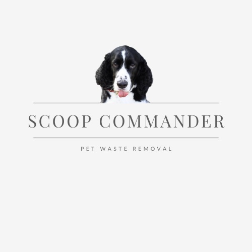 Scoop Commander - Photo 3