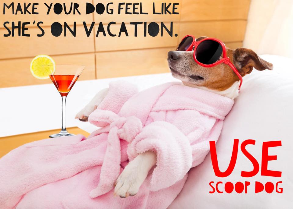 Scoop Dog Pet Waste Management - Photo 2