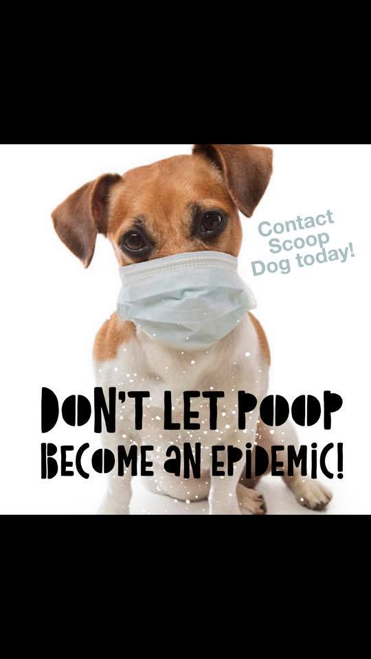 Scoop Dog Pet Waste Management - Photo 4