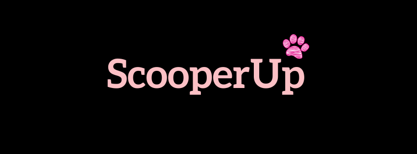 ScooperUp - Photo 4