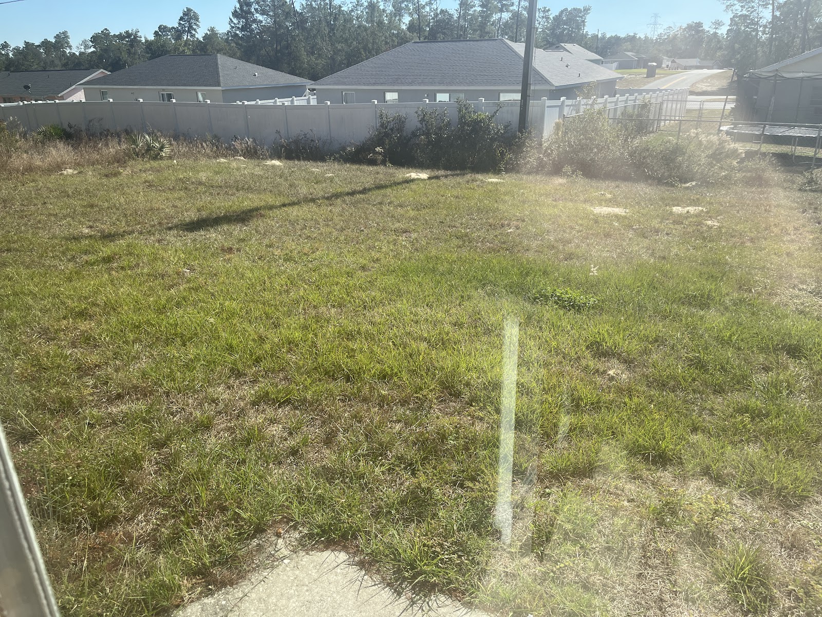 Magic Scoopers - Photo 4