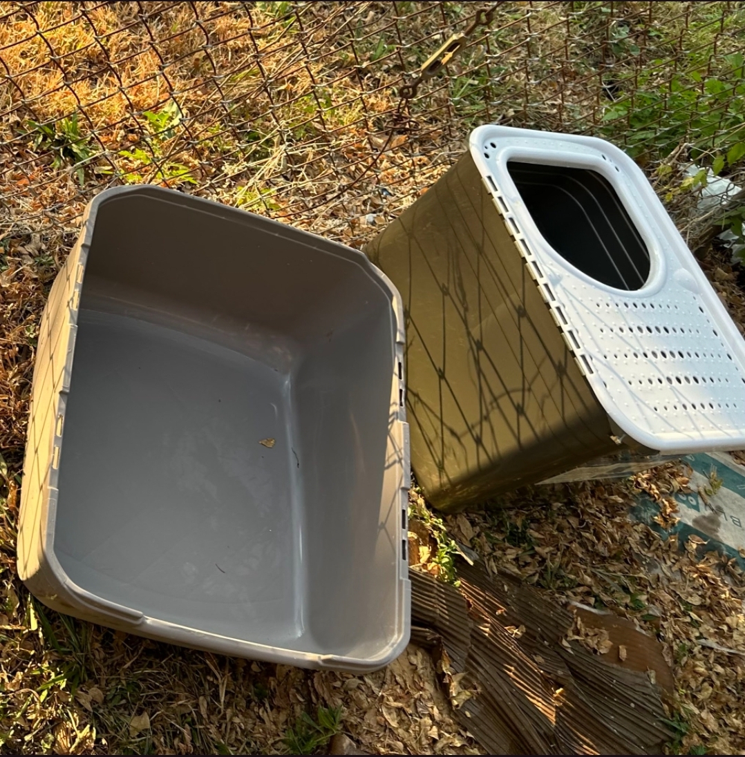 Doody Deputy - Photo 4