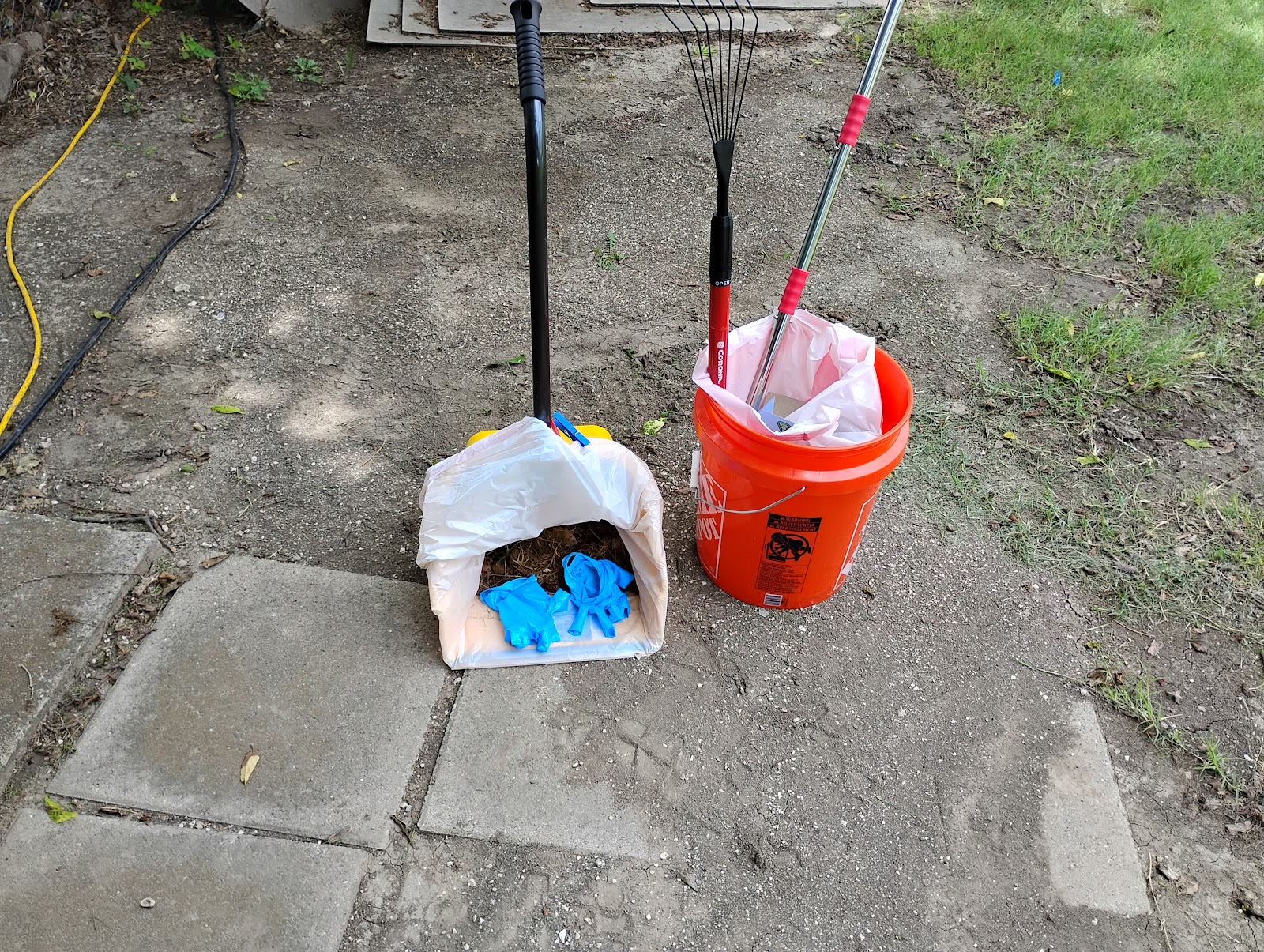 Poop Savvy - Photo 3