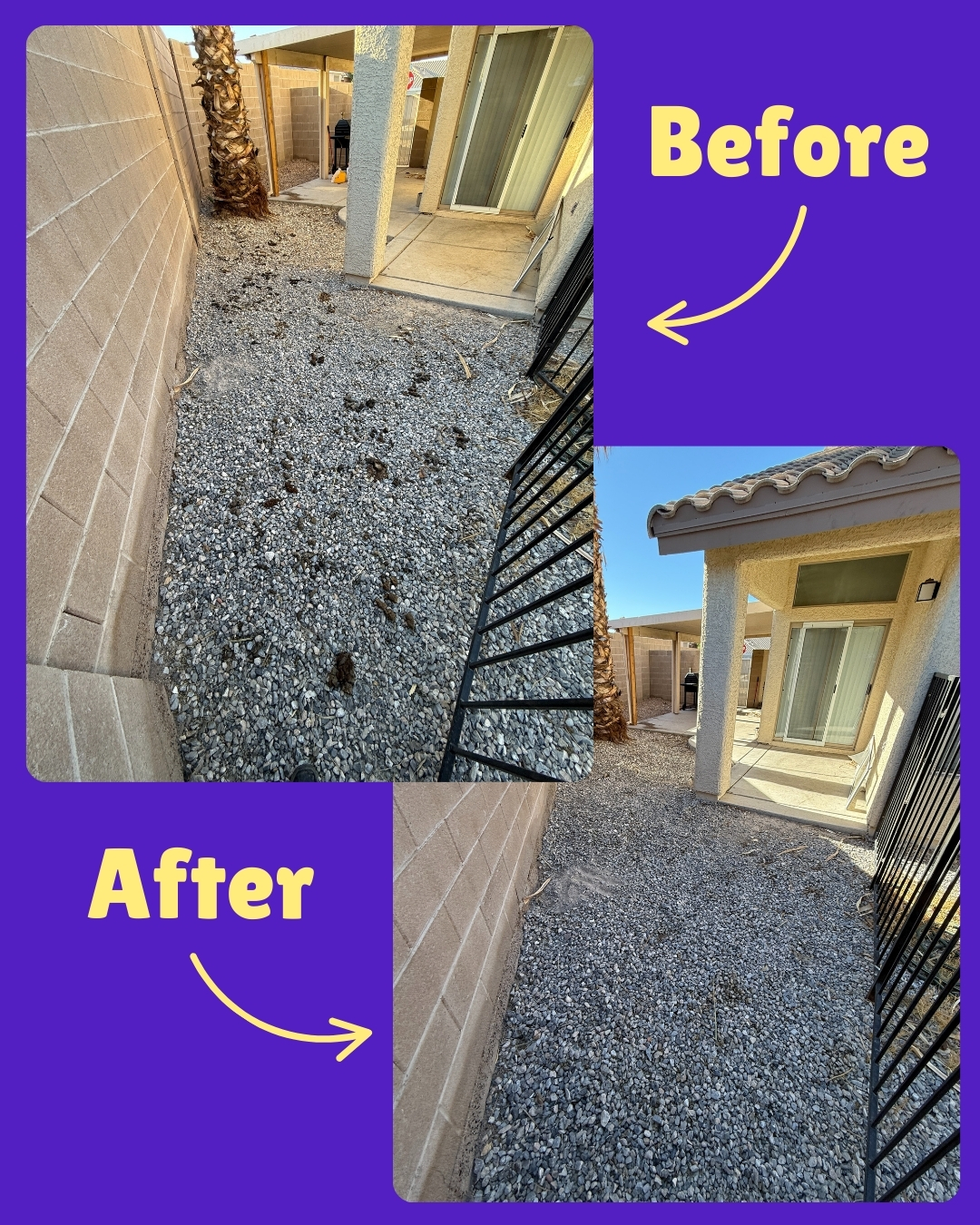 Vegas Pet Waste Pros - Photo 4