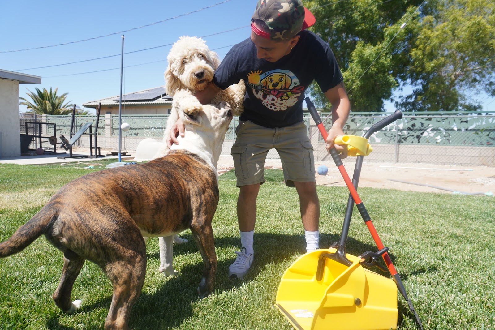 Oopsie Scoops - Pooper Scooper Service - Photo 2