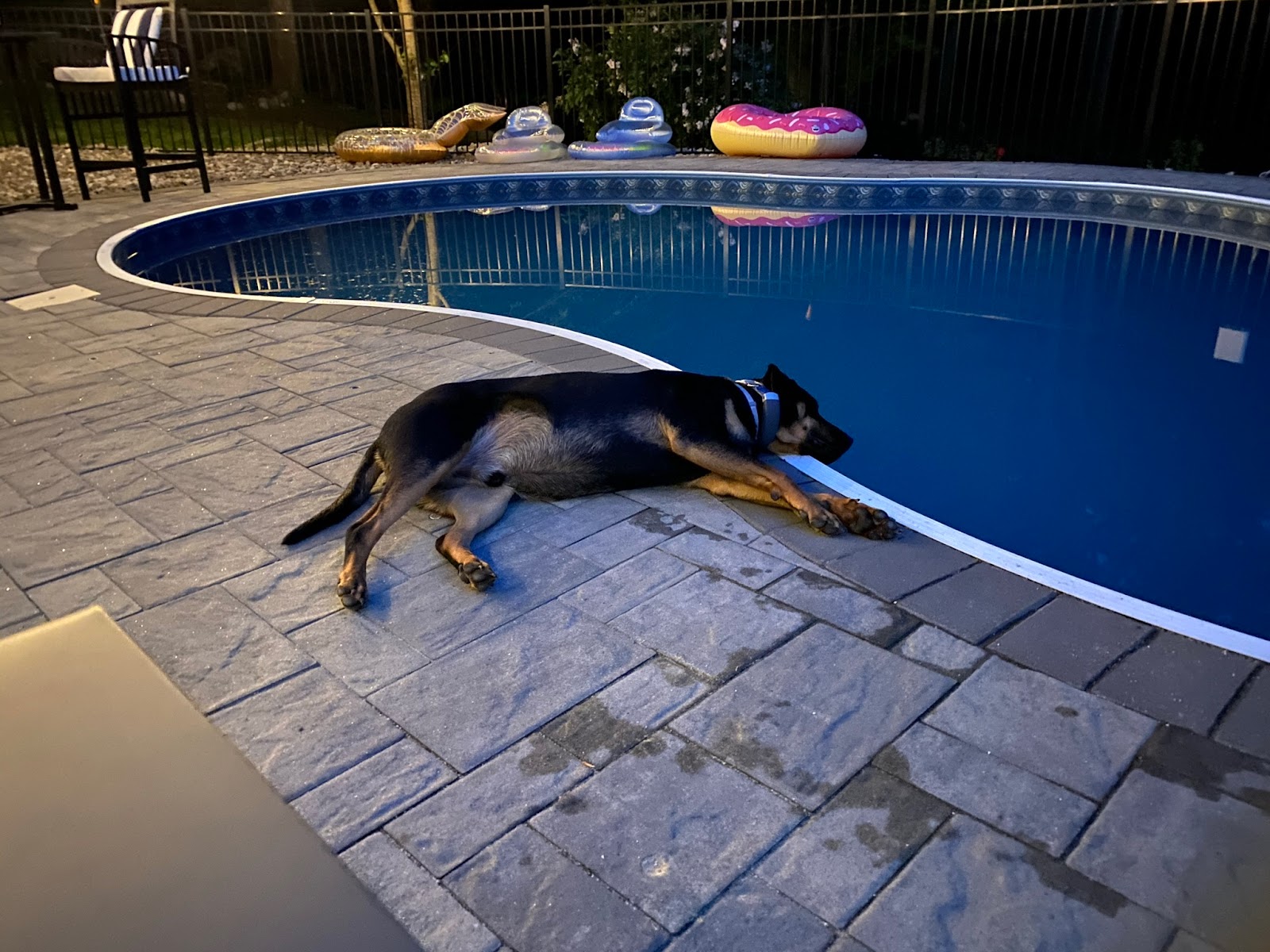 POOP 911 Boston - Photo 2