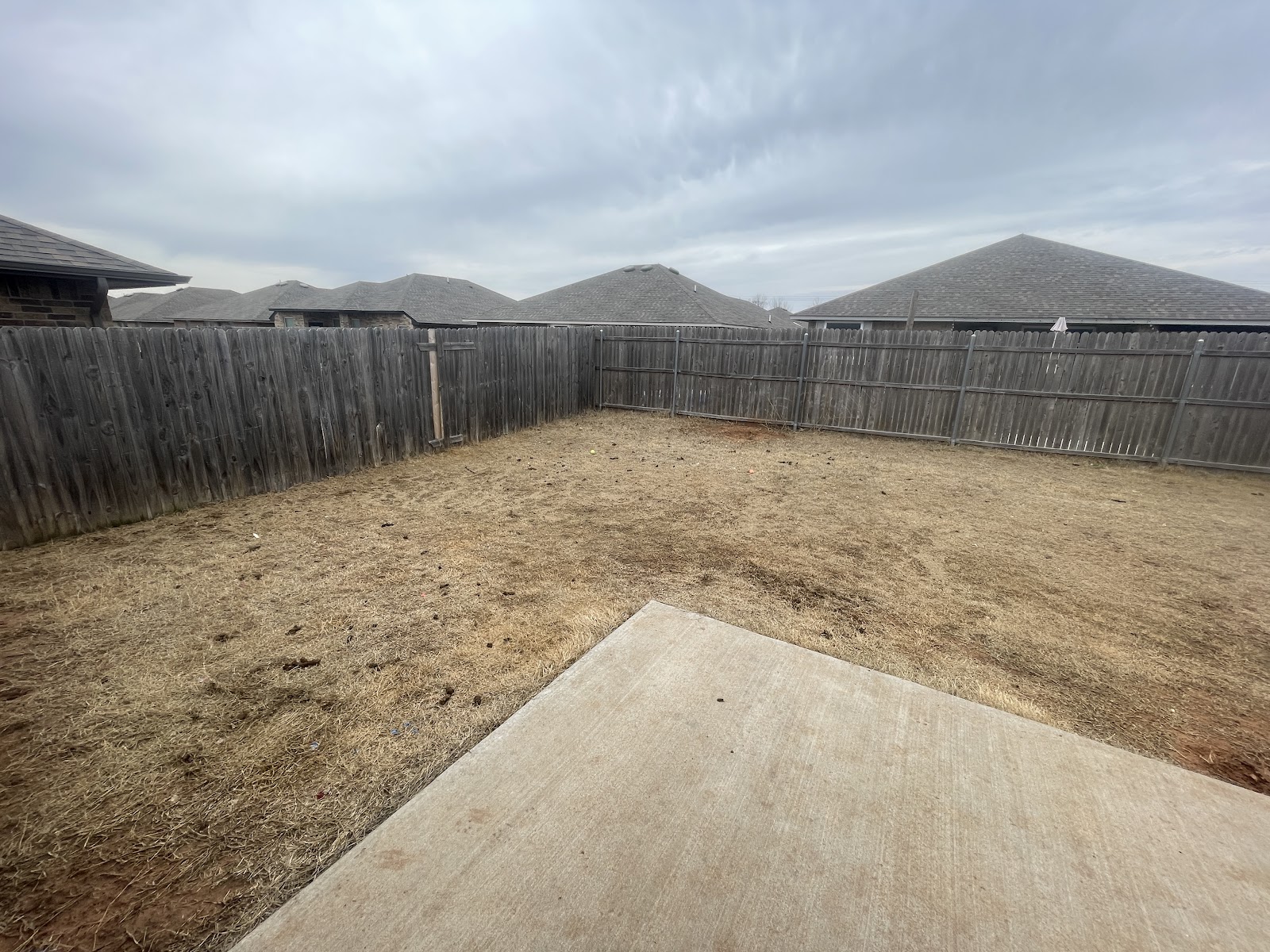 Snappy Scoops - Photo 2