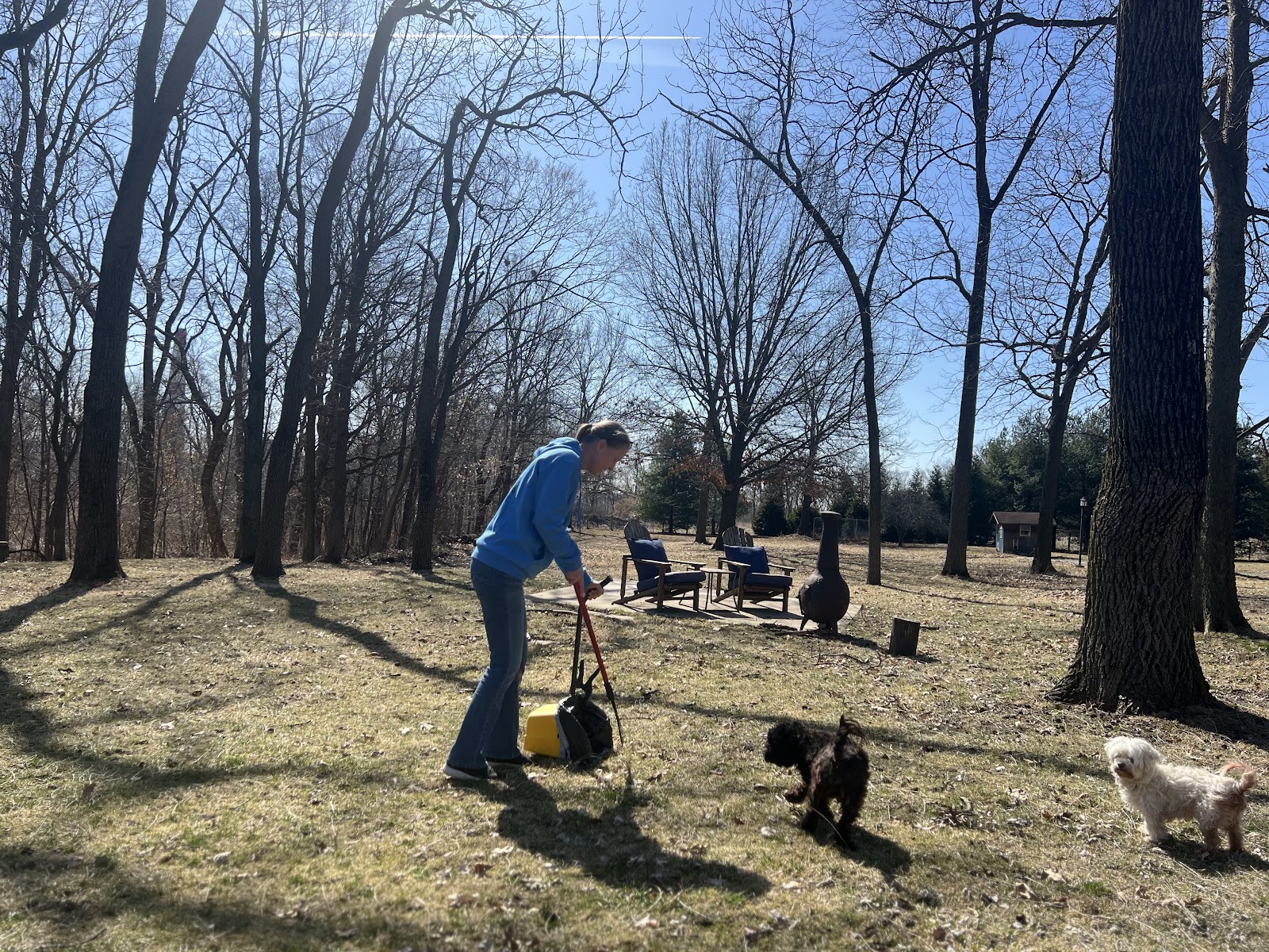 Scoop Daddy LLC - Photo 3