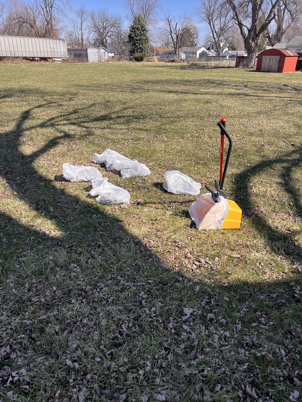 Scoop Daddy LLC - Photo 4