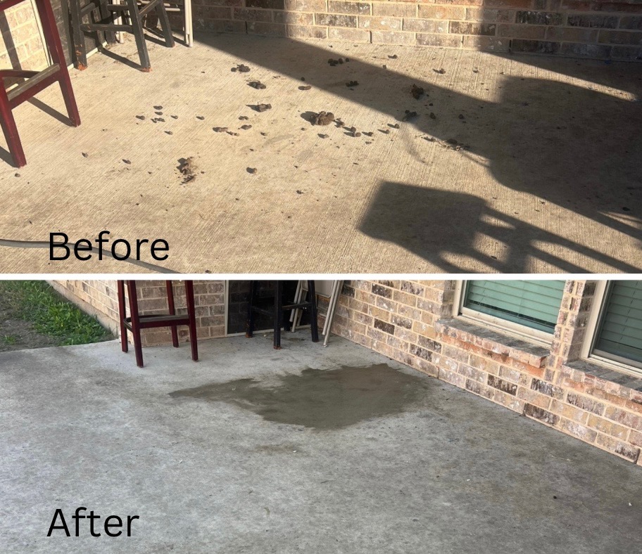 Why Do It Yourself - Dog Waste Removal - Photo 2