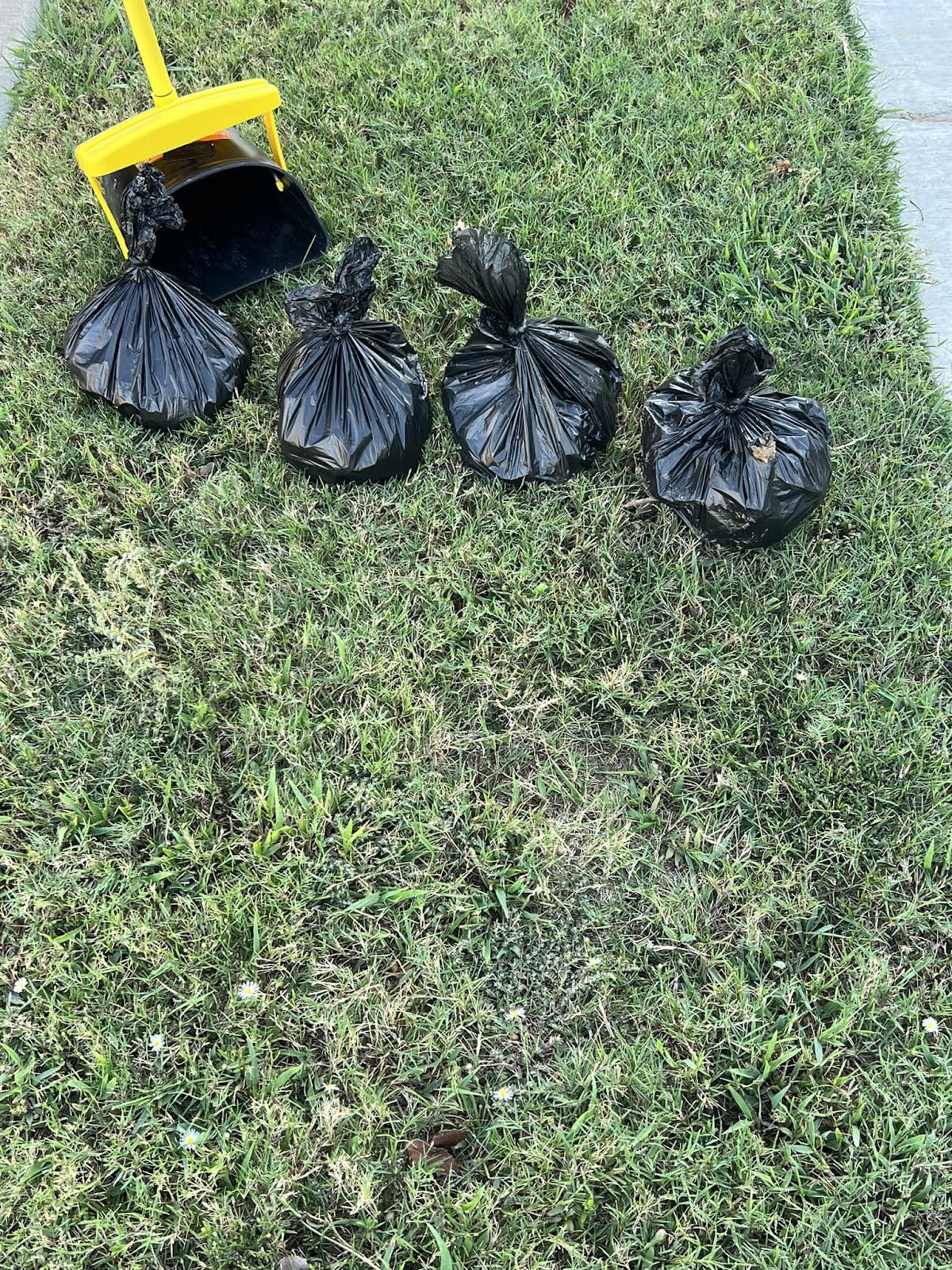 Why Do It Yourself - Dog Waste Removal - Photo 3