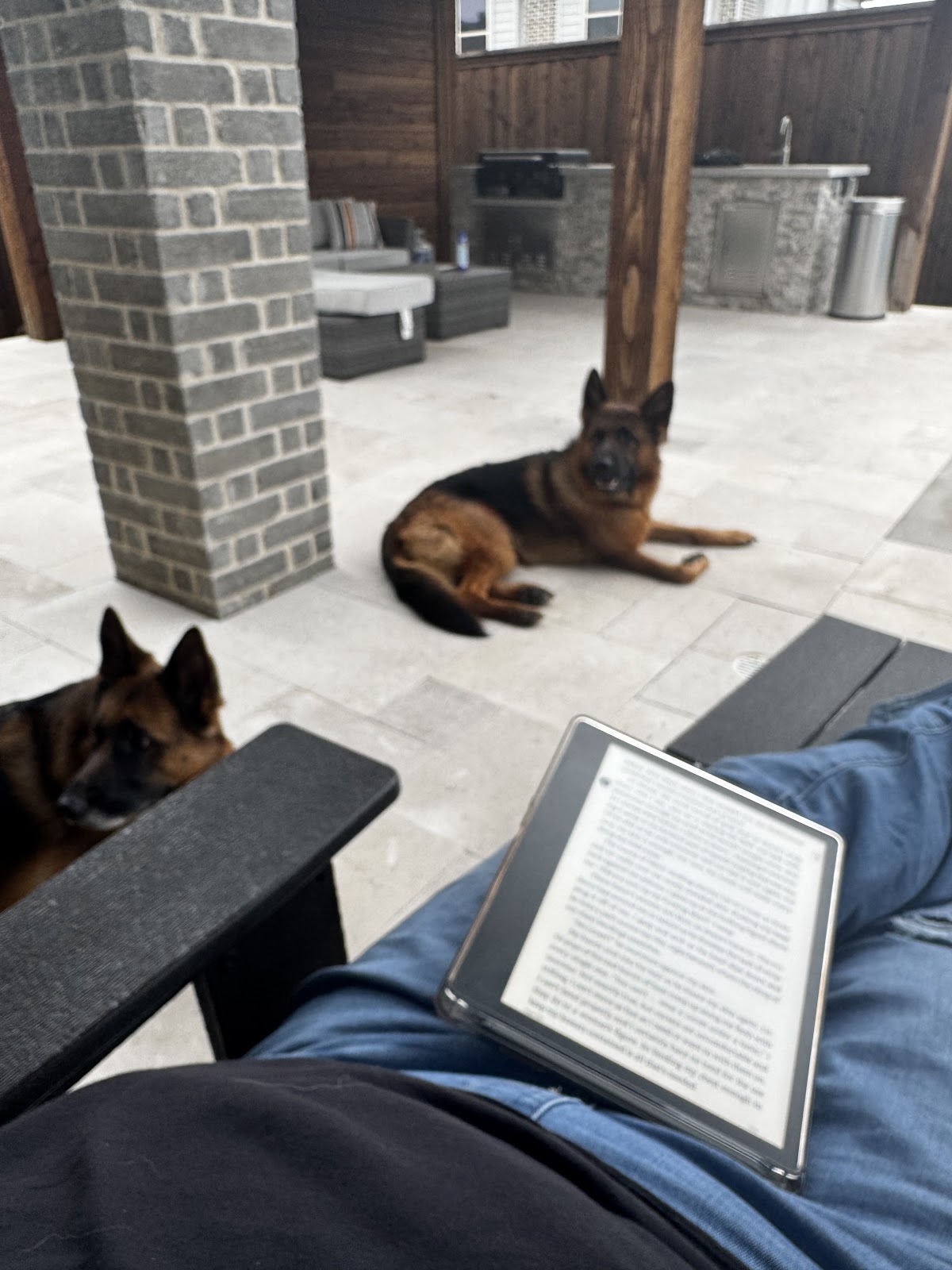 Why Do It Yourself - Dog Waste Removal - Photo 4