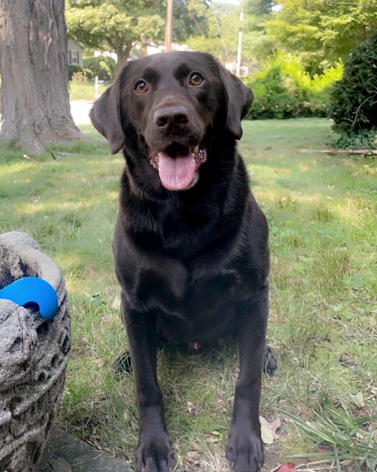 Scooper Duty - Photo 4