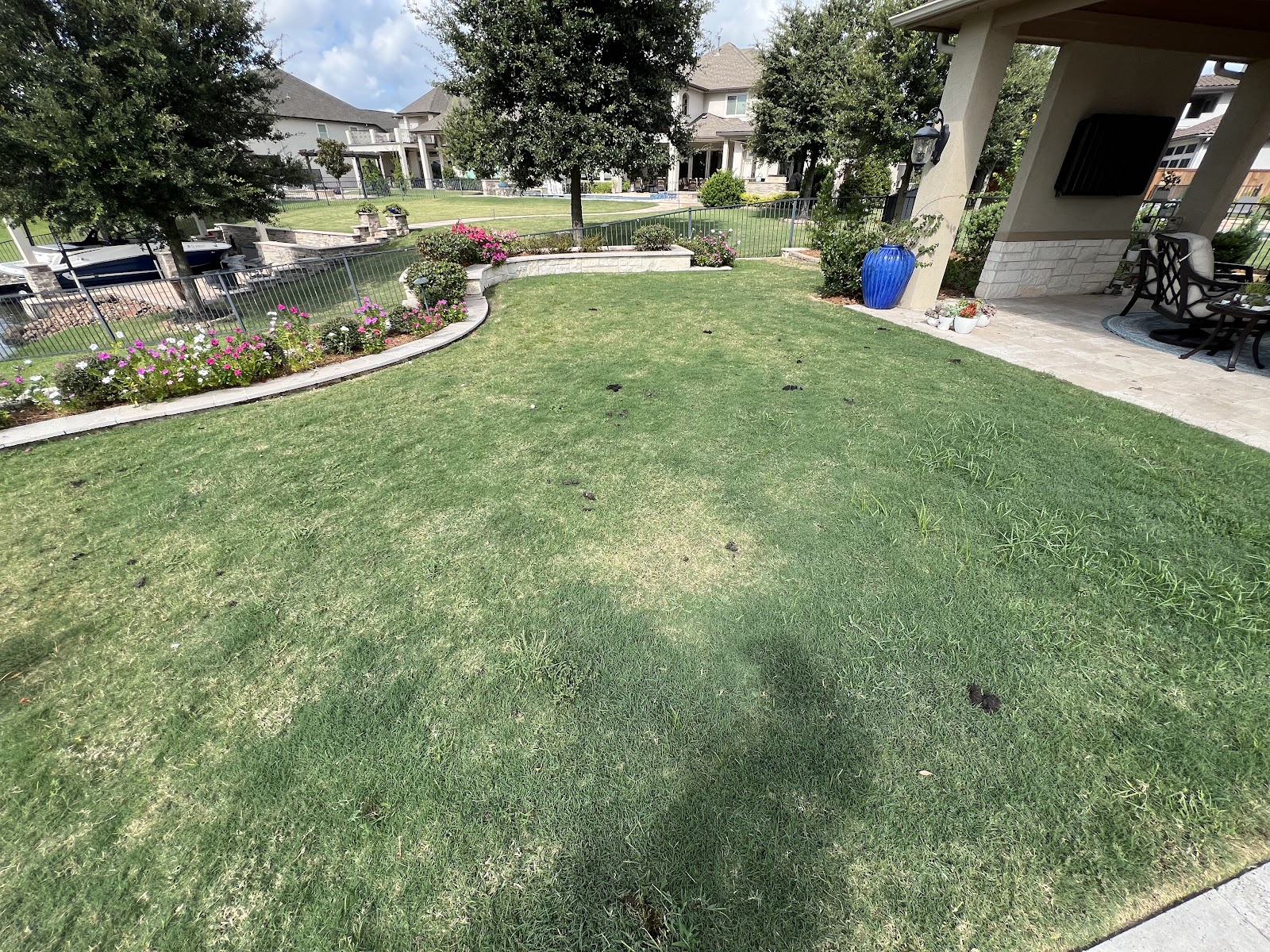 Salute The Scoop Poop Scooping Service - Photo 4