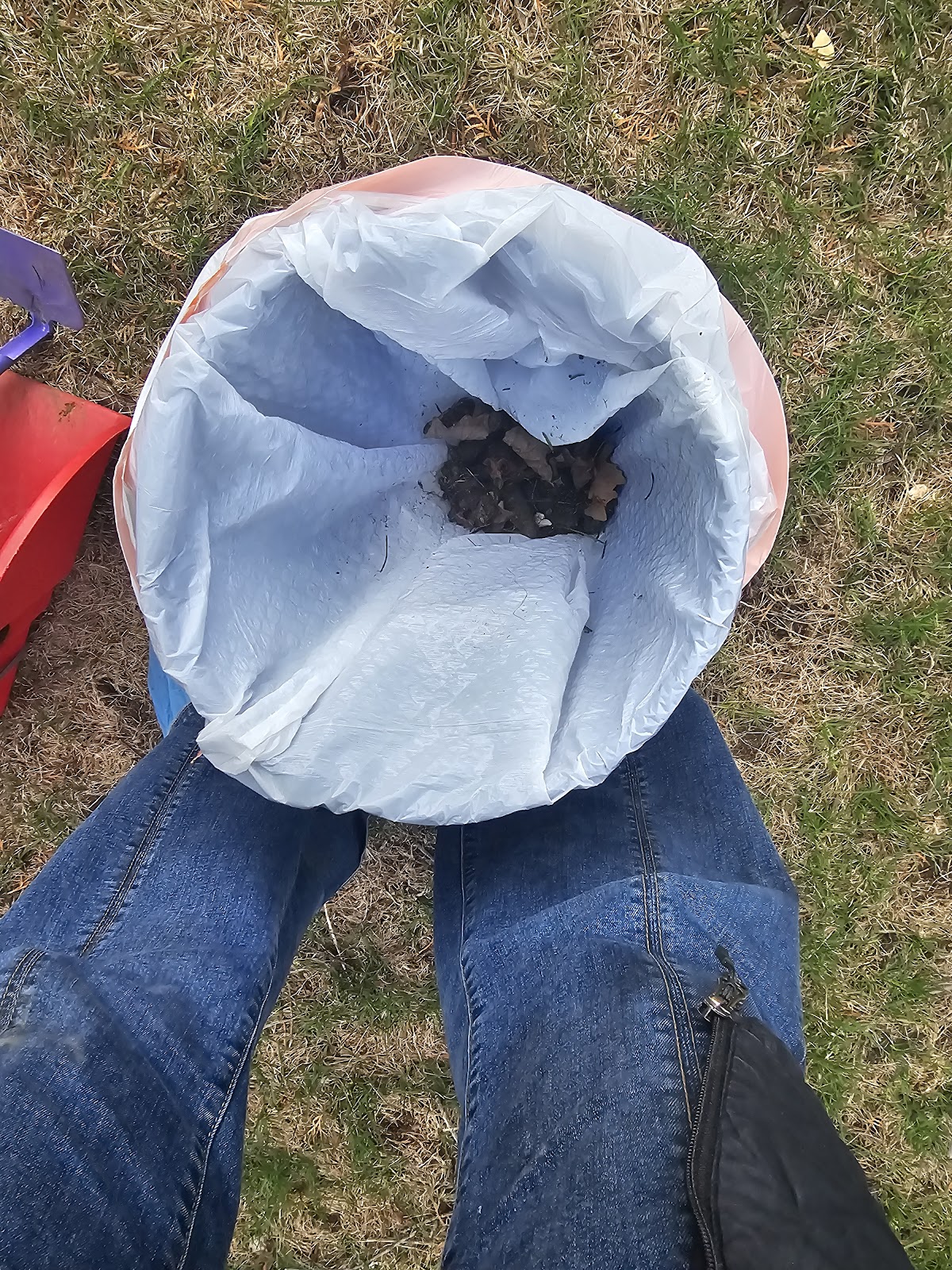 Royal Doody Scoopers LLC - Photo 4