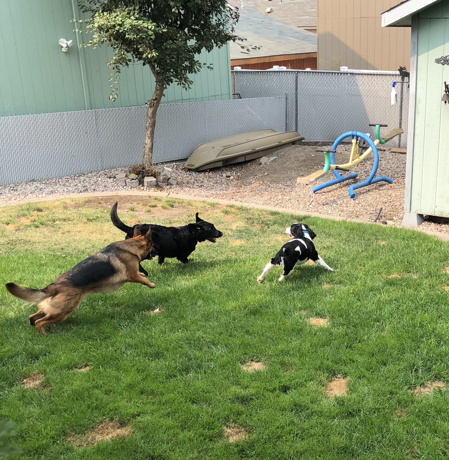 Swoop Scoop - Photo 4